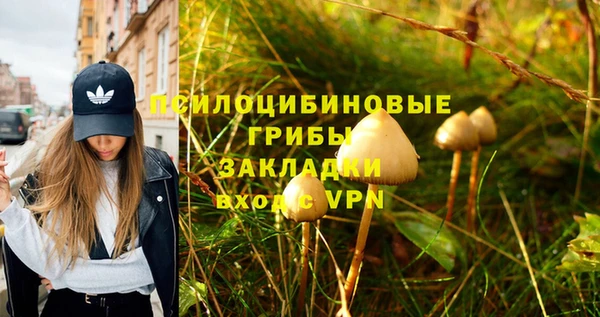не бодяженный Гусь-Хрустальный