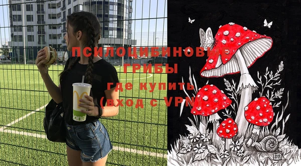 шишки Гусев