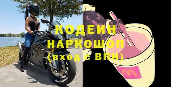 ГАЛЛЮЦИНОГЕННЫЕ ГРИБЫ Дмитриев