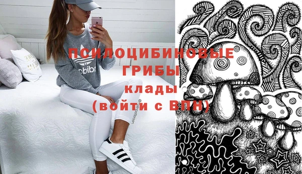 не бодяженный Гусь-Хрустальный