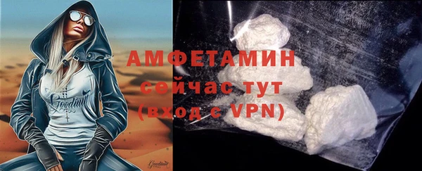 шишки Гусев