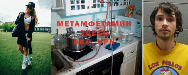 шишки Гусев