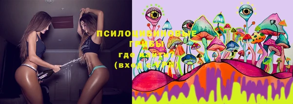 не бодяженный Гусь-Хрустальный