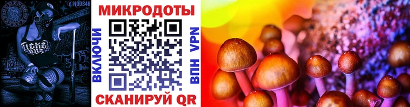 mega ссылка  Заволжье  Галлюциногенные грибы мухоморы 