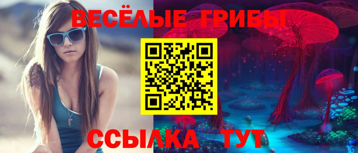 Псилоцибиновые грибы Psilocybe  Вход с VPN  Заволжье  Галлюциногенные грибы MAGIC MUSHROOMS 