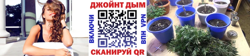 продажа наркотиков  Заволжье  Конопля семена 